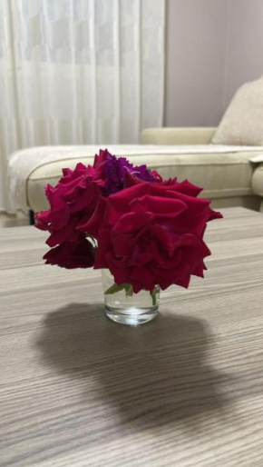 Klodi Apartament